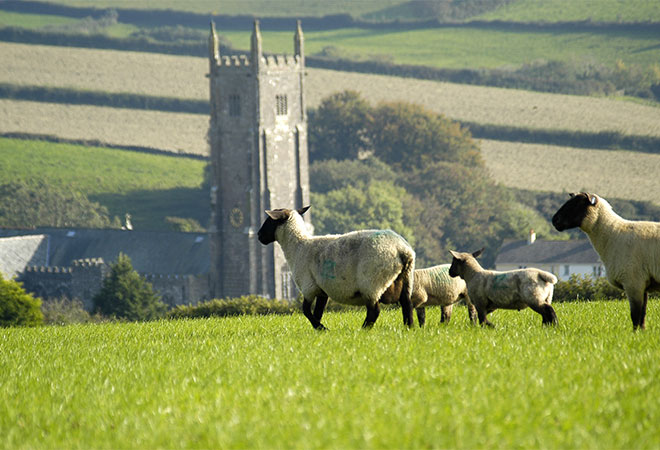 Hillhead Farm - Award Winning Farmhouse Bed and Breakfast