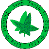 Ivybridge Town Football Club